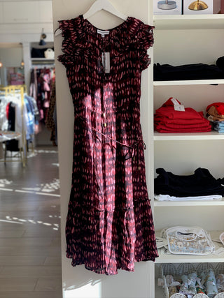 Ximena Print Maxi Dress
