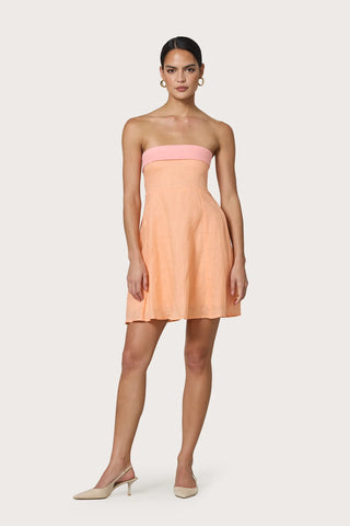 Alora Mini Dress