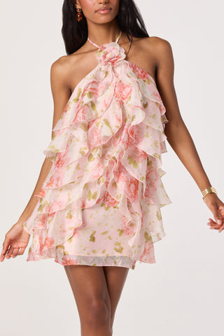 Ofra Dress