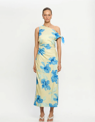 sophie midi dress Sophie Midi Dress (Mint) S