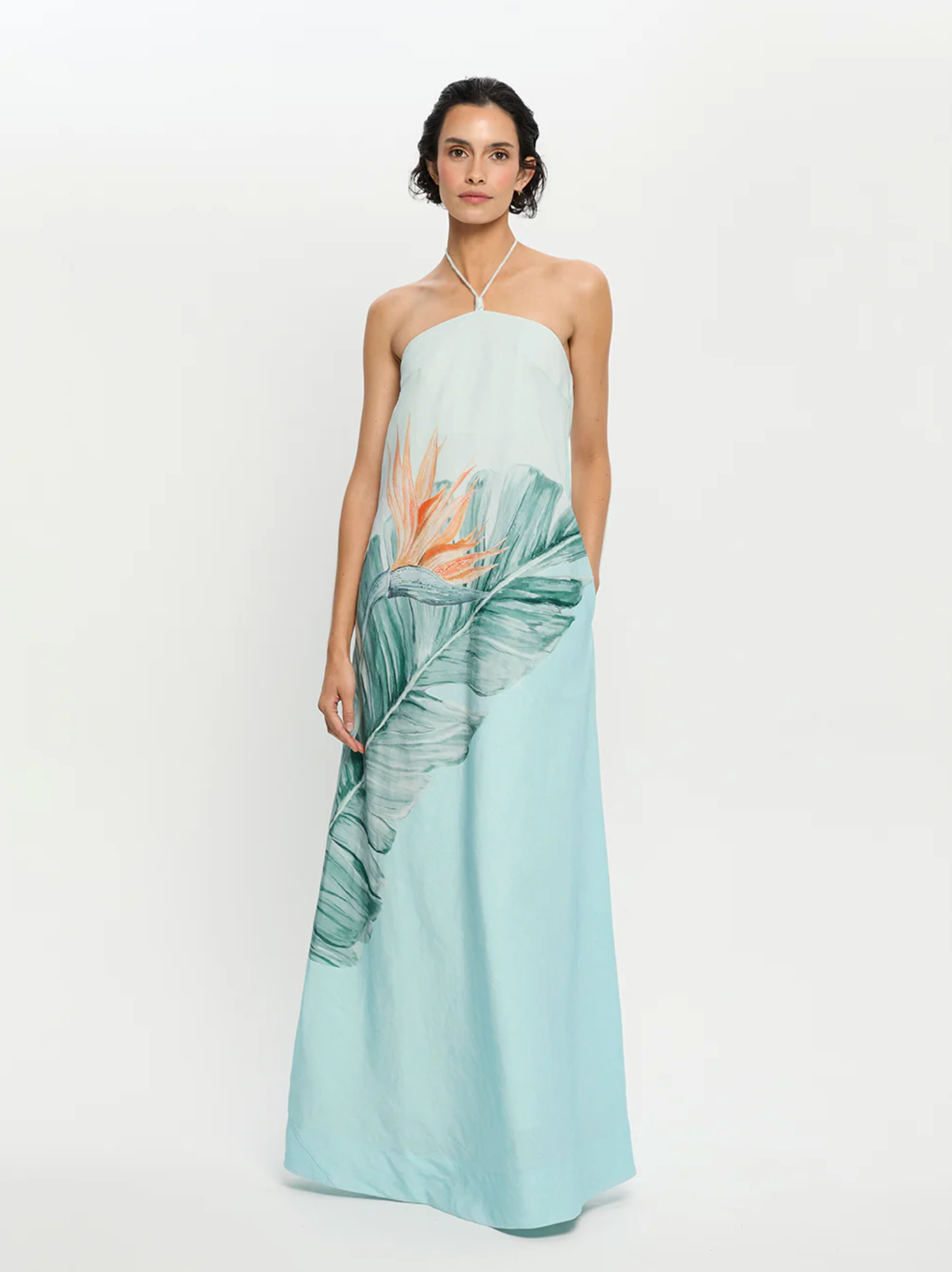 cassia maxi dress Lovers and Friends Cassia Maxi Dress in Red