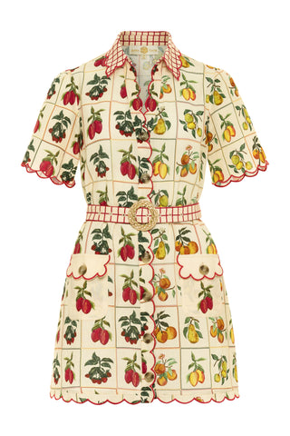 Poppy Dress
