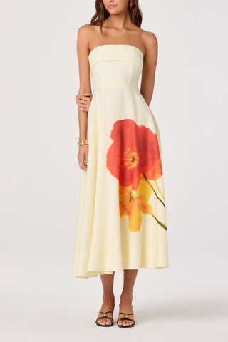 Ximena Dress