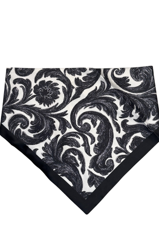 The Paisley Gameday Scarf