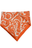 Bright Orange Paisley