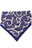 Purple Paisley