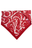 Red Paisley
