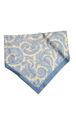 Powder Blue Paisley