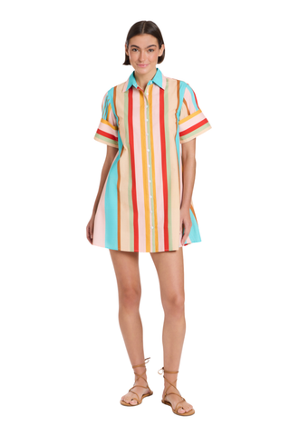 Dock Dress - Amberline Stripes