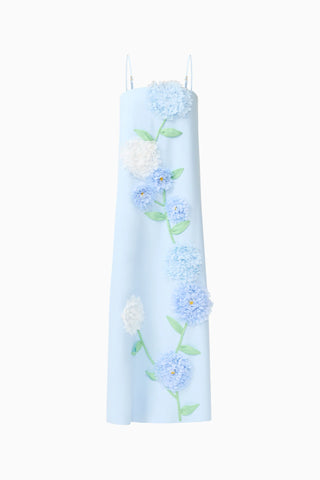 Buttercup Maxi Dress