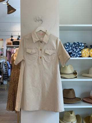 The Aiden Button Down Mini Dress
