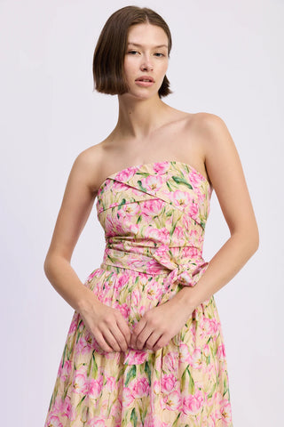 Arya Maxi Dress