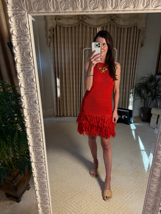 Mick Fringe Mini Dress