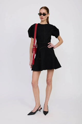 Aaliyah Mini Dress