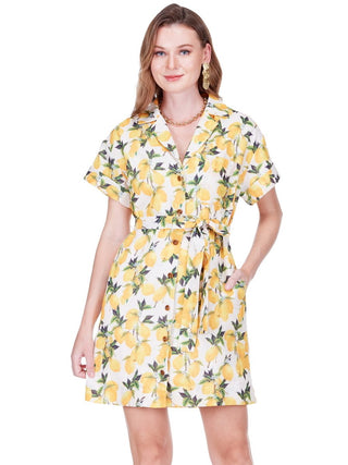 Lennon Shirt Dress